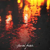 Daniel Fridell — Drizzle In Da Hizzle — обложка